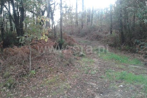 Helårsgrund i Barcelos, Braga, Barcelos - € 61.500 | Ref: 254140402 - foto 2