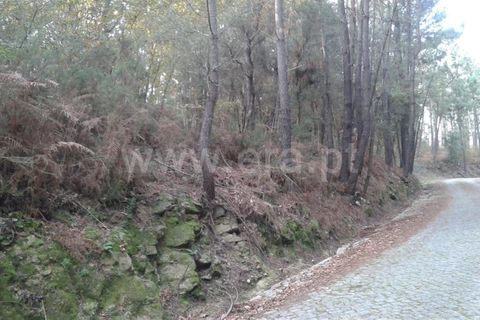 Helårsgrund i Barcelos, Braga, Barcelos - € 61.500 | Ref: 254140402 - foto 3