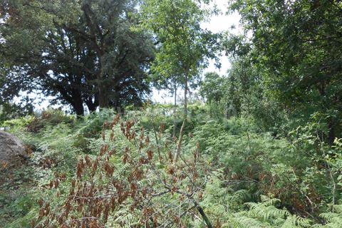 Helårsgrund i Barcelos, Braga, Barcelos - € 100.000 | Ref: 254150367 - foto 2
