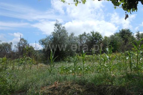 Helårsgrund i Barcelos, Braga, Barcelos - € 100.000 | Ref: 254150367 - foto 3