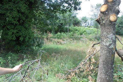 Helårsgrund i Barcelos, Braga, Barcelos - € 100.000 | Ref: 254150367 - foto 4