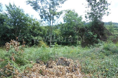 Helårsgrund i Barcelos, Braga, Barcelos - € 100.000 | Ref: 254150367 - foto 5
