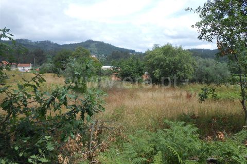 Helårsgrund i Barcelos, Braga, Barcelos - € 100.000 | Ref: 254150367 - foto 6