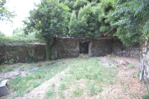 Byhus i Barcelos, Braga, Barcelos - € 99.000 | Ref: 254160216 - foto 4