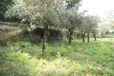 Byhus i Barcelos, Braga, Barcelos - € 99.000 | Ref: 254160216 - foto 5