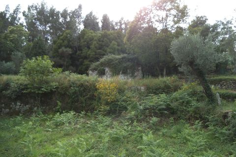 Byhus i Barcelos, Braga, Barcelos - € 99.000 | Ref: 254160216 - foto 6
