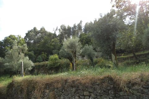 Byhus i Barcelos, Braga, Barcelos - € 99.000 | Ref: 254160216 - foto 7