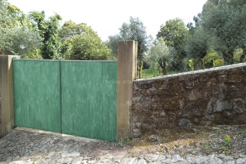Byhus i Barcelos, Braga, Barcelos - € 99.000 | Ref: 254160216 - foto 8