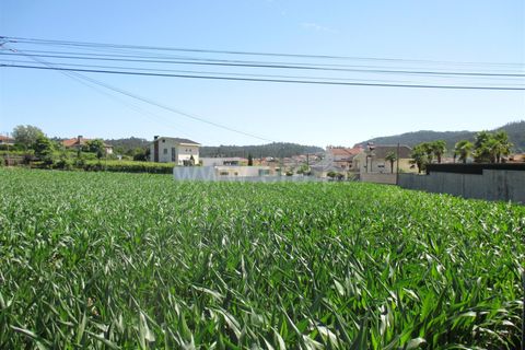 Helårsgrund i Barcelos, Braga, Barcelos - € 165.000 | Ref: 254240221 - foto 4