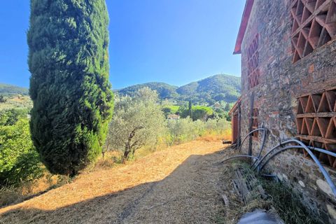 Landejendom i Quarrata, Pistoia, Quarrata - € 495.000 | Ref: 1644 - foto 17