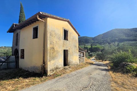 Landejendom i Quarrata, Pistoia, Quarrata - € 495.000 | Ref: 1644 - foto 22