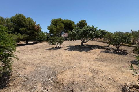 Herregård i Torrellano, Alicante, Torrellano - € 525 000 | Ref: CSPR-93616 - foto 26