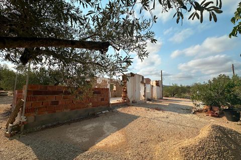 Finca i L'Ampolla, Tarragona, L'Ampolla - € 95.000 | Ref: 1143 - foto 9