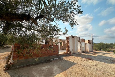 Finca i L'Ampolla, Tarragona, L'Ampolla - € 95.000 | Ref: 1143 - foto 10