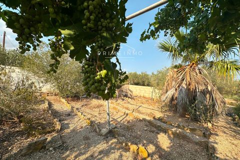 Finca i L'Ampolla, Tarragona, L'Ampolla - € 95.000 | Ref: 1143 - foto 12