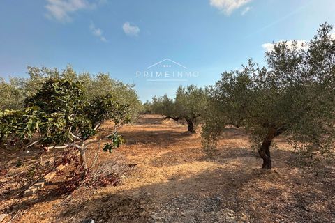 Finca i L'Ampolla, Tarragona, L'Ampolla - € 95.000 | Ref: 1143 - foto 14