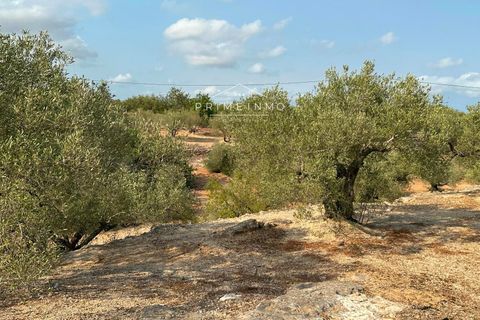 Finca i L'Ampolla, Tarragona, L'Ampolla - € 95.000 | Ref: 1143 - foto 16