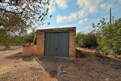 Finca i L'Ampolla, Tarragona, L'Ampolla - € 95.000 | Ref: 1143 - foto 18