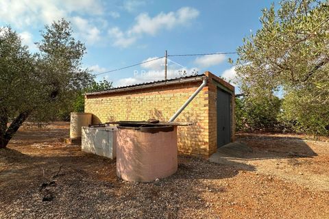 Finca i L'Ampolla, Tarragona, L'Ampolla - € 95.000 | Ref: 1143 - foto 19