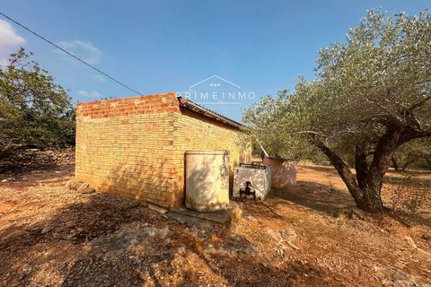 Finca i L'Ampolla, Tarragona, L'Ampolla - € 95.000 | Ref: 1143 - foto 20