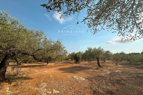 Finca i L'Ampolla, Tarragona, L'Ampolla - € 95.000 | Ref: 1143 - foto 21