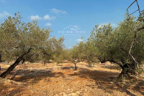 Finca i L'Ampolla, Tarragona, L'Ampolla - € 95.000 | Ref: 1143 - foto 22
