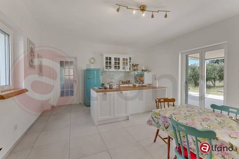 Villa a Roccasecca, Frosinone, Roccasecca - € 315.000 | Ref: AC99-149-1644 - foto 17