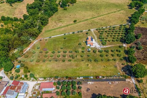 Villa a Roccasecca, Frosinone, Roccasecca - € 315.000 | Ref: AC99-149-1644 - foto 31