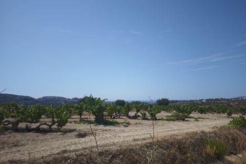 Landejendom i Teulada, Alicante, Teulada - € 600.000 | Ref: C611 - foto 4
