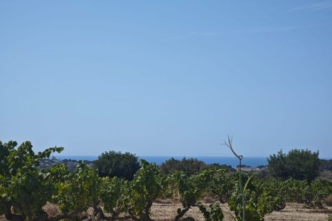 Landejendom i Teulada, Alicante, Teulada - € 600.000 | Ref: C611 - foto 5