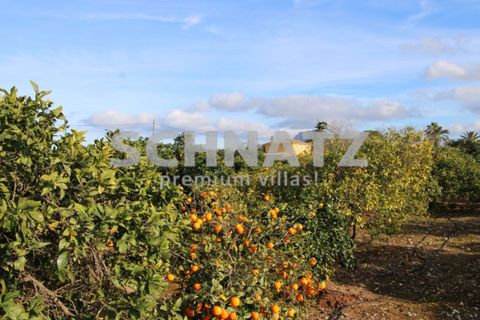 Landejendom i Ondara, Alicante, Ondara - € 594.000 | Ref: ON5304 - foto 2