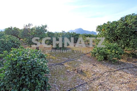 Landejendom i Ondara, Alicante, Ondara - € 594.000 | Ref: ON5304 - foto 15