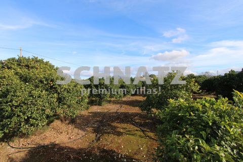 Landejendom i Ondara, Alicante, Ondara - € 594.000 | Ref: ON5304 - foto 17