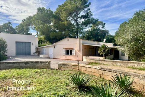Landejendom i Can Picafort, Mallorca, Can Picafort - € 680.000 | Ref: Can Pic V 680 - foto 38