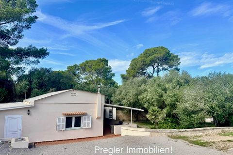 Landejendom i Can Picafort, Mallorca, Can Picafort - € 680.000 | Ref: Can Pic V 680 - foto 32