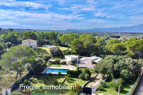 Landejendom i Can Picafort, Mallorca, Can Picafort - € 680.000 | Ref: Can Pic V 680 - foto 28