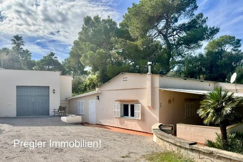 Landejendom i Can Picafort, Mallorca, Can Picafort - € 680.000 | Ref: Can Pic V 680 - foto 36