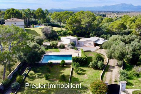 Landejendom i Can Picafort, Mallorca, Can Picafort - € 680.000 | Ref: Can Pic V 680 - foto 31
