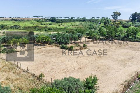 Terra a Rome, Rome, Rome - € 80.000 | Ref: CBI143-2042-8191 - foto 2