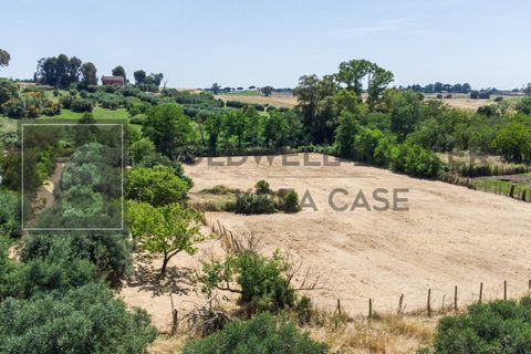 Terra a Rome, Rome, Rome - € 80.000 | Ref: CBI143-2042-8191 - foto 3