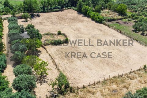 Terra a Rome, Rome, Rome - € 80.000 | Ref: CBI143-2042-8191 - foto 4