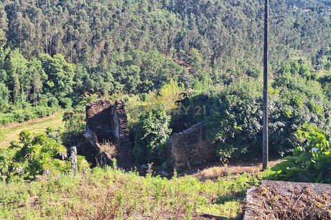 Helårsgrund i Arouca, Aveiro, Arouca - € 85.000 | Ref: C0385-00768 - foto 3