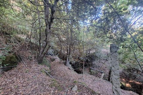 Helårsgrund i Arouca, Aveiro, Arouca - € 85.000 | Ref: C0385-00768 - foto 4