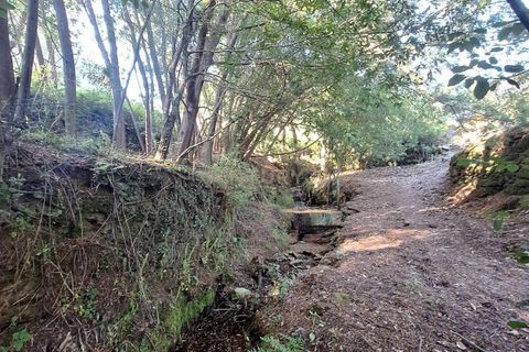Helårsgrund i Arouca, Aveiro, Arouca - € 85.000 | Ref: C0385-00768 - foto 6