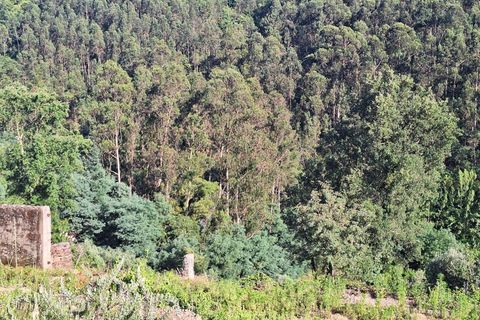 Helårsgrund i Arouca, Aveiro, Arouca - € 85.000 | Ref: C0385-00768 - foto 7