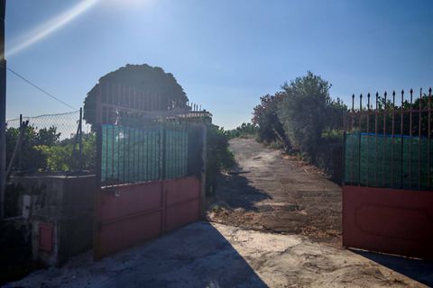 Helårsgrund i Paterno, Catania, Paterno - € 95.000 | Ref: 622 - foto 2