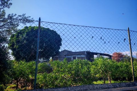 Helårsgrund i Paterno, Catania, Paterno - € 95.000 | Ref: 622 - foto 3