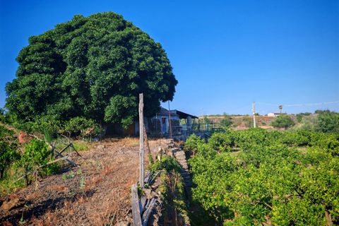 Helårsgrund i Paterno, Catania, Paterno - € 95.000 | Ref: 622 - foto 4