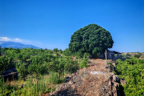 Helårsgrund i Paterno, Catania, Paterno - € 95.000 | Ref: 622 - foto 5