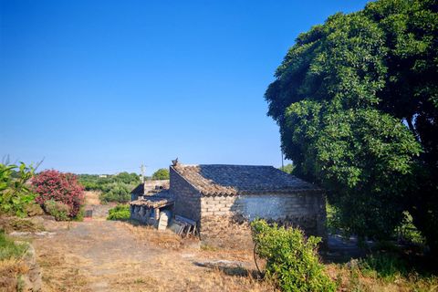 Helårsgrund i Paterno, Catania, Paterno - € 95.000 | Ref: 622 - foto 6